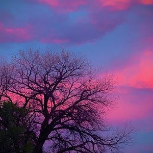 Meet your Posher, Jolene